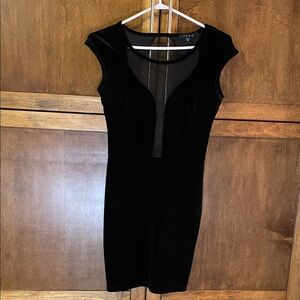 Snap Black Velvet Dress with Shear Panels Front and Back